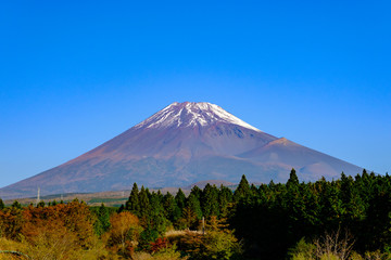 Fototapeta premium 秋朝の富士山