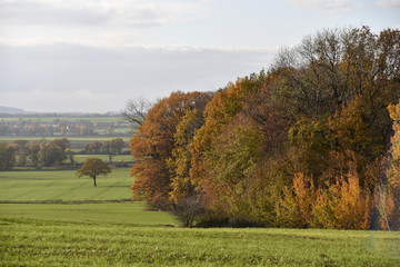 Fototapeta premium Autumn landscape on the countryside in Poland. 