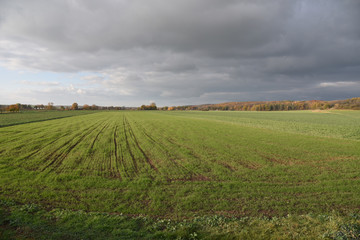 Fototapeta na wymiar Autumn landscape on the countryside in Poland. 
