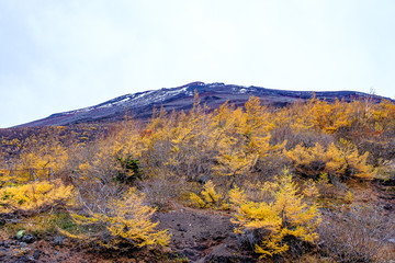 秋　富士山富士宮口五合目