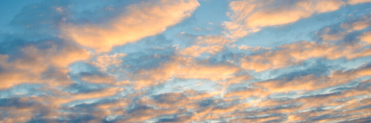 Naklejka na ściany i meble Orange clouds panoramic background and blue sky at sunset