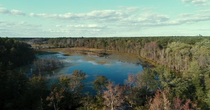 Aerial - slow drone flight over the Shane Branch in the Pine Barrens in Southern New  Jersey