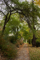 19-10-27 Prague-Botanic garden Na Slupi-0008-romantic pathway in autumn afternoon