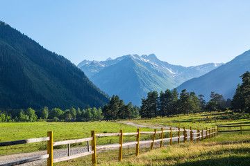 Fototapeta na wymiar mountain landscape of the pasture in summer