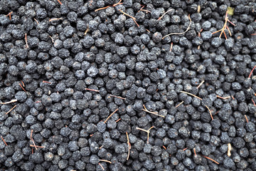 Dried healthy organic juniper berries. Background texture