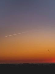 Sunset with little birds and the sea in the background