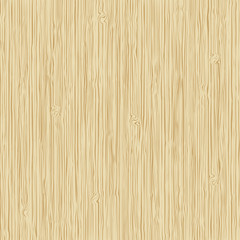Fototapeta premium Wood texture vector. Wood background