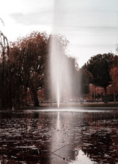 FALL 2019 SEQUENCE