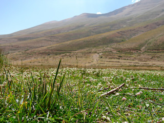 Lake between mountains - beautiful scenery at Ouyoun Orghosh town between North and Beqaa Lebanon