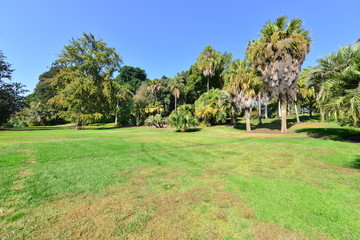 A garden at an American country estate.