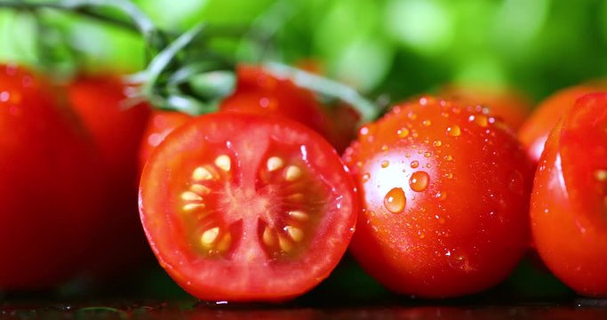 closeup of fresh cherry tomato with water drops and green lettuce in background. dolly shot
