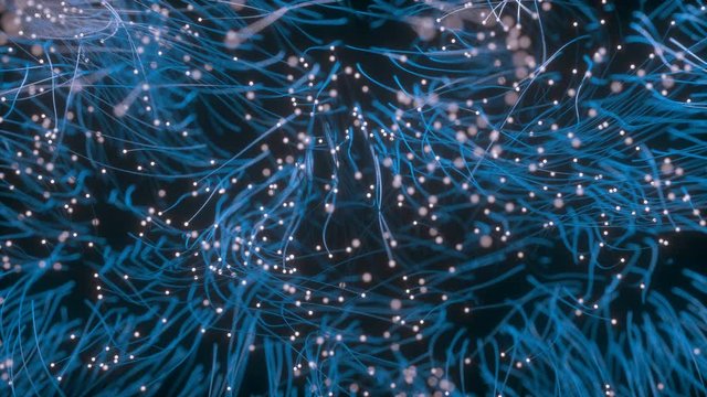 Magical flowers. Fairytale background. Elegant, detailed particles.