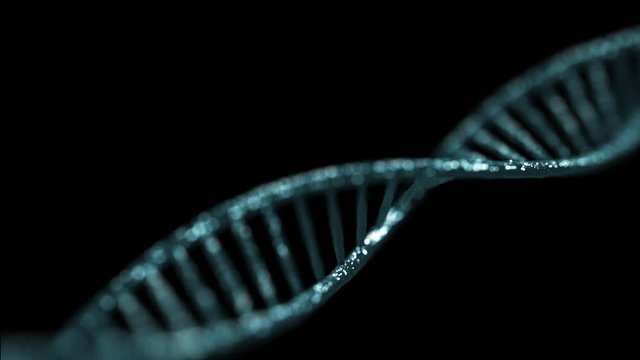 Human DNA genome double helix animation - seamless loop, isolated on black background. Concept of future bio technology, medicine, gene therapy, development, engineering