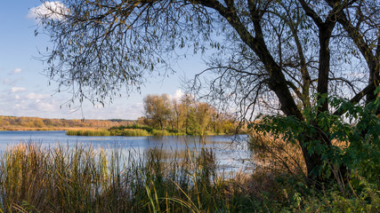 Plaża Dojlidy i Stawy Dojlidzkie w Białymstoku, Podlasie, Polska