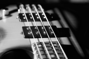 bass guitar closeup . black and white