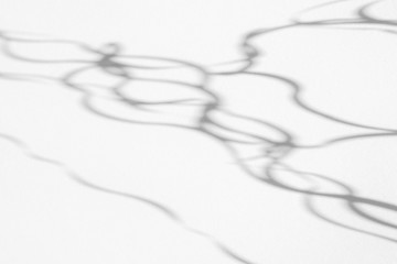 Organic drop abstract diagonal curvy lines shadow on a white wall, overlay effect for photo and mockups