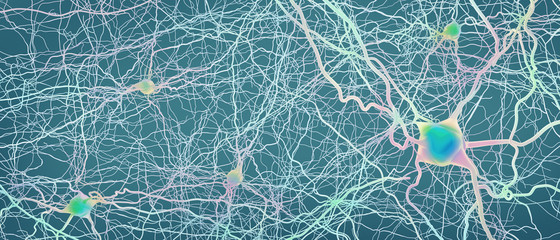 Connected neurons or nerve cells- 3d illustration