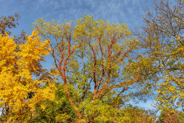 Herbstimpression