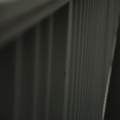 Gitter
