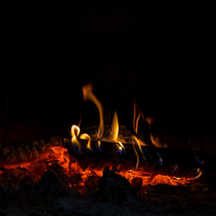 Wood burning in the fireplace. Close up.