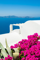 Fototapeta na wymiar White architecture on Santorini island, Greece. Flowers on the terrace with sea view