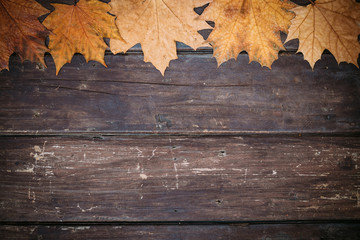 Naklejka na ściany i meble Autumn leaves on wooden wallpaper with copy space. Thanksgiving background