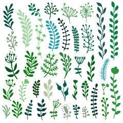 Bullet journal hand drawn vector elements for notebook, diary and planner. Set of doodles branches, herbs, flowers, plants.
