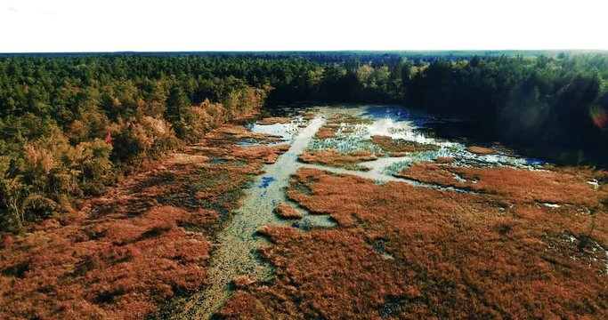 Aerial - slow drone flight over the Shane Branch in the Pine Barrens in Southern New  Jersey