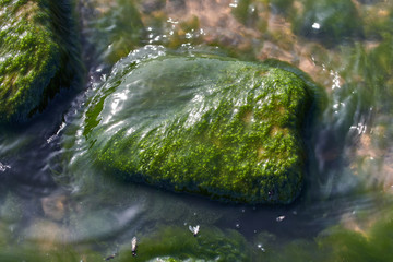 Green Rock