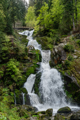 Long exposure of a waterfall in a green forest with some stones and small plants in the foreground
