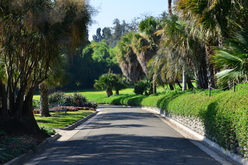 Fototapeta premium A garden at a country estate in California