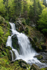 Long exposure of a waterfall in a green forest with some stones and small plants in the foreground