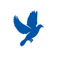 Dove logo design concept vector. Bird logo template. Icon symbol. Illustration