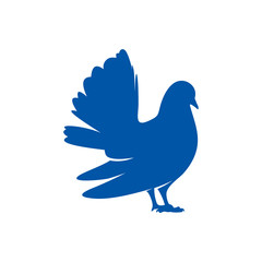 Fototapeta premium Dove logo design concept vector. Bird logo template. Icon symbol. Illustration