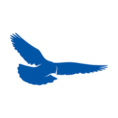 Dove logo design concept vector. Bird logo template. Icon symbol. Illustration