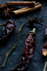 cinnamon sticks and closeup of a rose hip dark background
