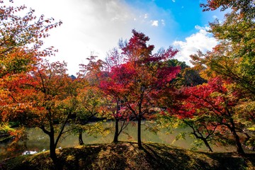 朝地の紅葉