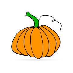 hand drawing doodle pumpkin icon, halloween symbol, food vector illustration