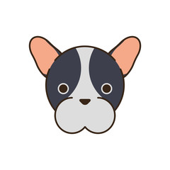 cute little dog french bulldog head fill style icon