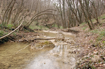 Water flow  in a early spring forest. Crimea