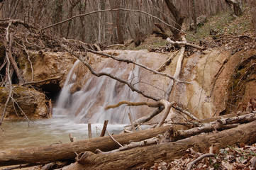 Water flow  in a early spring forest. Crimea