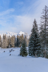 Fototapeta na wymiar Verschneite Winterlandschaft mit Blick auf den Säntis und und den Wildhauser Schafberg im Toggenburg