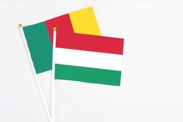 Hungary and Cameroon stick flags on white background. High quality fabric, miniature national flag. Peaceful global concept.White floor for copy space.