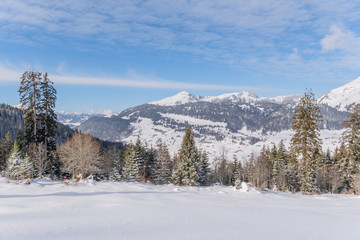 Verschneite Winterlandschaft in den Schweizer Alpen