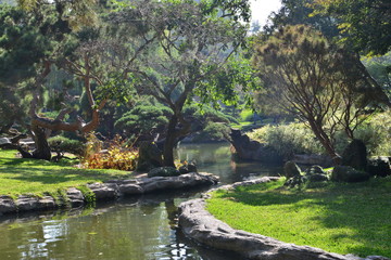 Fototapeta premium Japanese garden in California
