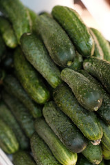 cucumbers on the counter of a farmers market. Natural organic products