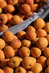 apricots on the counter of a farmers market. Natural Organic Fruits.
