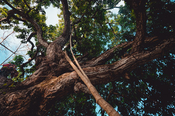 Serra da Uruburetama