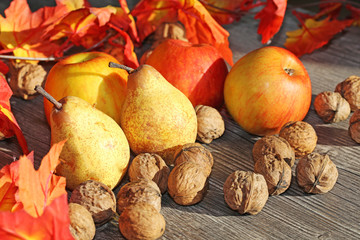 Äpfel, Birnen und Walnüsse auf einem rustikalen Holztisch als herbstliches Motiv