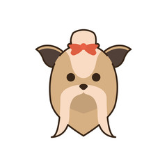 cute little dog shih tzu head fill style icon